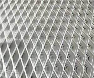 Modern Outdoor Decorative Perforated Expanded Metal Mesh Facade Cladding Curtain Wall